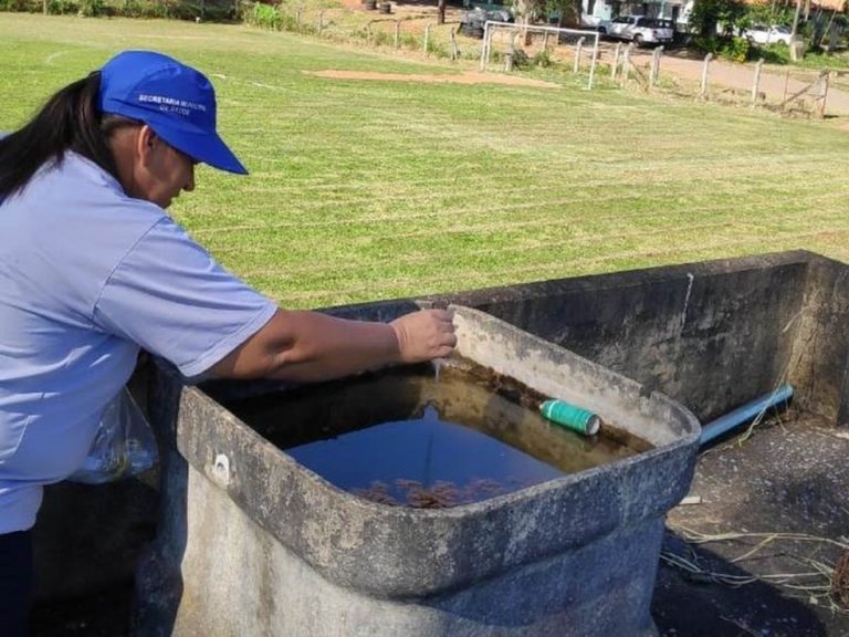 Dengue: índice de infestação do Aedes aegypti diminui 75% em Divinópolis