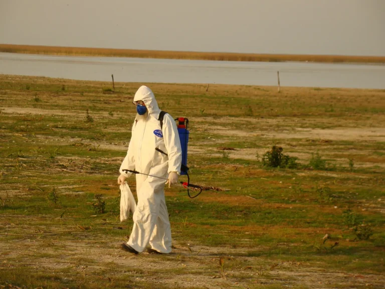Fórum discute desafios no combate à Influenza Aviária