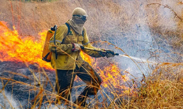 Plano do governo para combater incêndios em 2026 é apresentado pubicamente