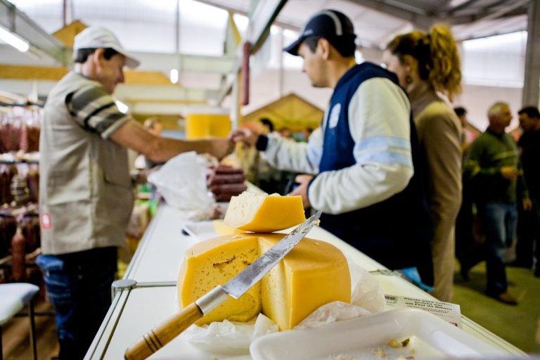 Estado dá início ao Censo das Agroindústrias de Família