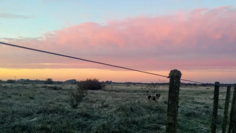 Temperaturas abaixo de zero marcam a manhã de terça-feira (12) no Rio Grande do Sul
