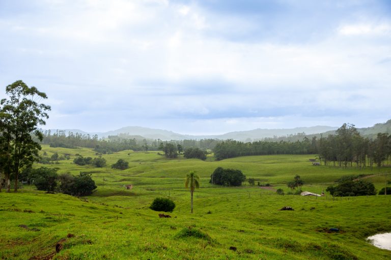 Frio intenso marca quarta-feira com mínimas negativas no Rio Grande do Sul